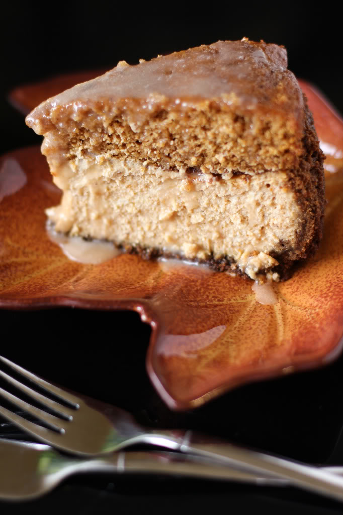 Photo Credit: http://willowbirdbaking.com/2012/10/05/brown-butter-pumpkin-cake-cheesecake-with-salted-caramel/