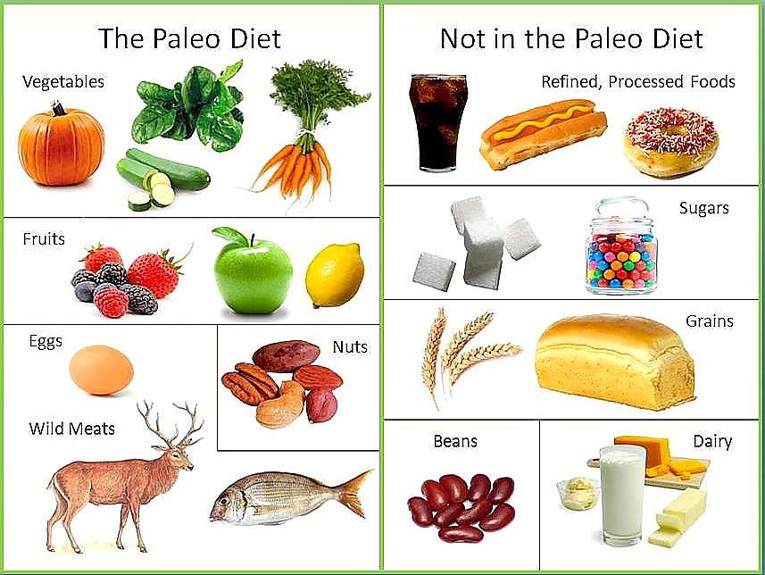 who is credited for the paleo diet